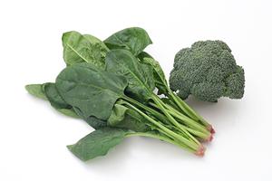 ホストクラブの楽しみ方は多種多様です