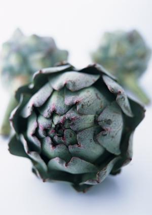 アイドル系のホストがいるクラブ