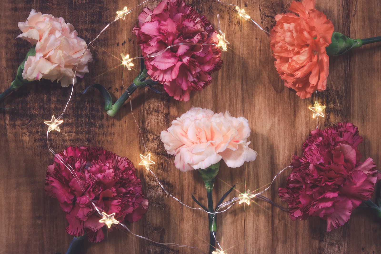 ビジネスホテルの情報発信サイト